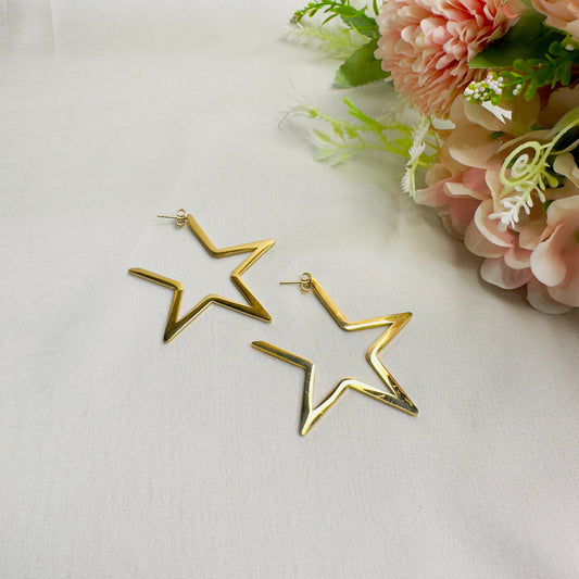 Tarnish Free Star earrings