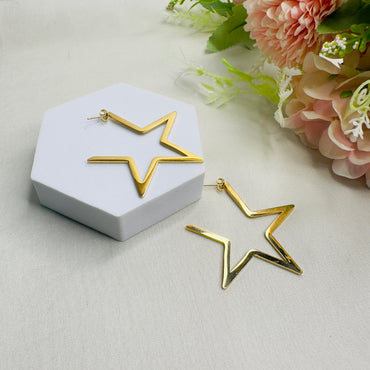 Tarnish Free Star earrings