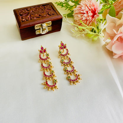 Delicate Design Long Earrings