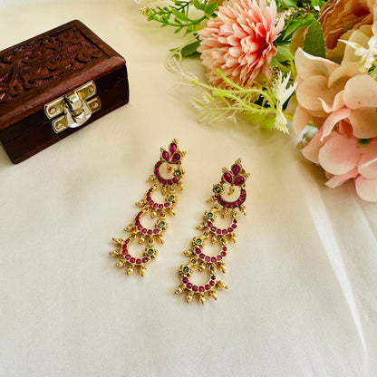 Delicate Design Long Earrings